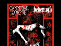 Cannibal Corpse Official Website
