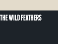 The Wild Feathers Official Website