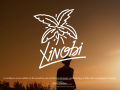 Xinobi Official Website